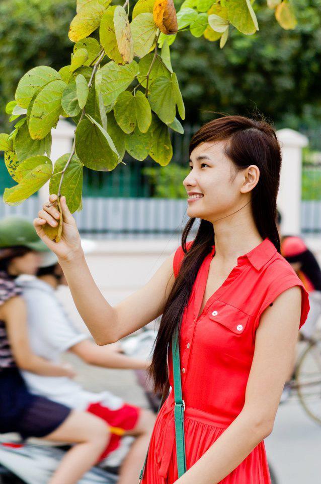 爱的释放